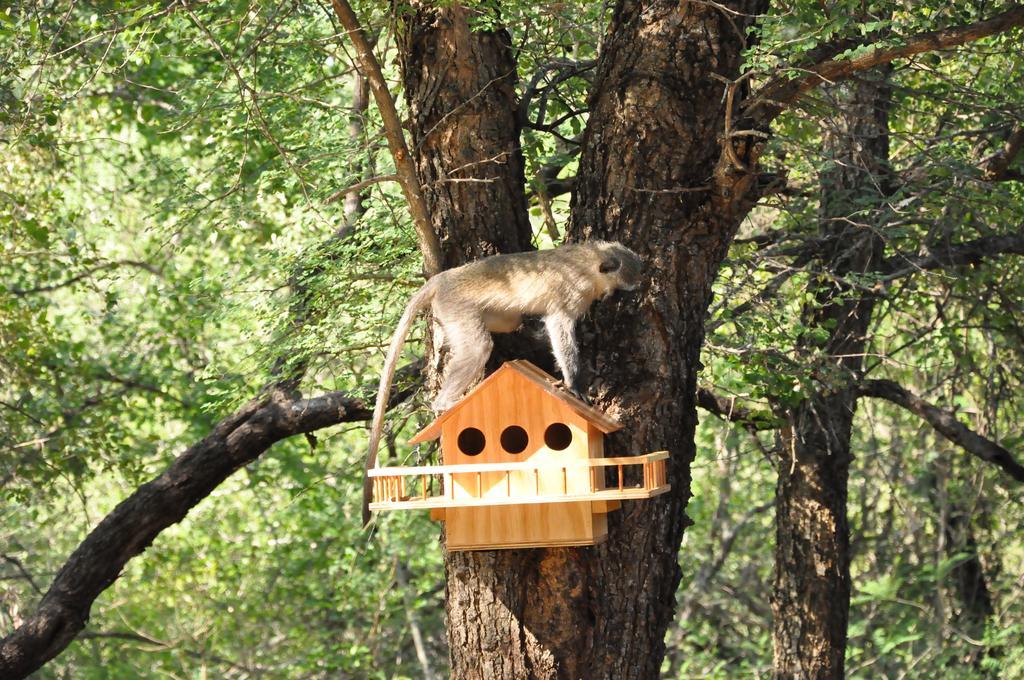 Treetops Марлот Парк Екстериор снимка